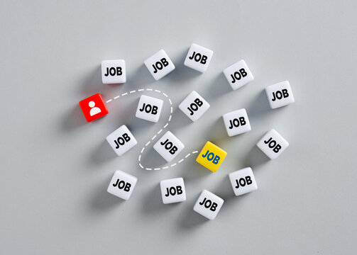 Candidate choosing right job opportunity among many cubes saying job