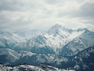 Obraz premium Pine trees on snow covered mountain Magical winter forest. Natural landscape with beautiful sky