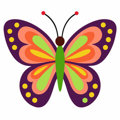 colorful butterfly vector