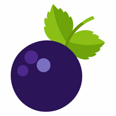 blackcurrant witt leaves vector