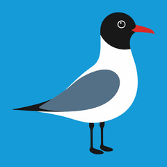 black headed gull vector art