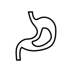 Stomach icon Thin line art isolated