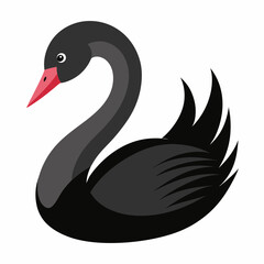 black swan vector
