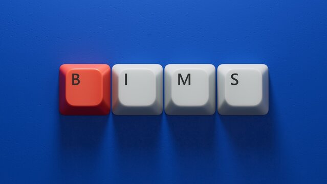bims word concept. Computer keyboard keys.close up of Computer keyboard keys,Business Concept.3D rendering on blue background.