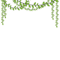 Decorative Green Vine Leaves Illustration