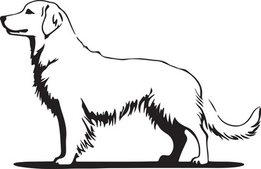 Golden Retriever Silhouette Vector Illustration
