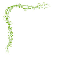 Vine Leaf Corner