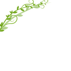 Obraz premium Vine Leaf Corner