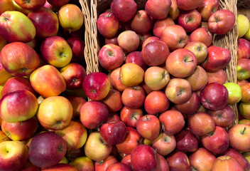 A basket of apples is piled high with red and green apples
