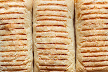 Freshly baked panini bread background backdrop. Freshly baked Italian bread concept