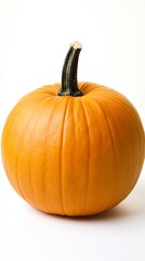 Vibrant Orange Pumpkin, Ready to Harvest