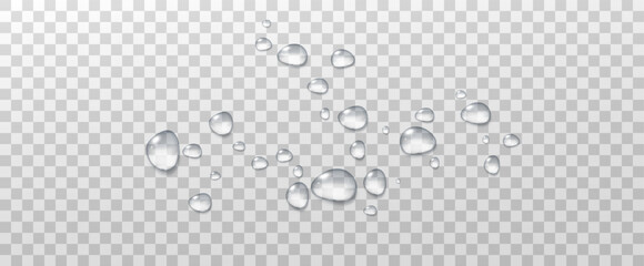 Realistic vector water drops png on a transparent light background. Water condensation on the surface with light reflection and realistic shadow. 3d vector illustration