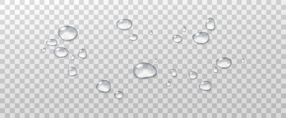 Realistic vector water drops png on a transparent light background. Water condensation on the surface with light reflection and realistic shadow. 3d vector illustration
