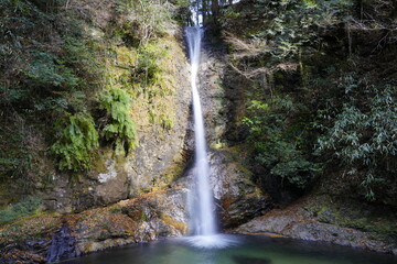 森の中にある滝 奈良県東吉野村投石の滝　
