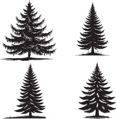 High-Quality Vector Silhouettes of the Black Spruce Tree in Monochrome Art Style