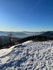 winter landscape with snow
