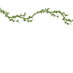Vine Leaf