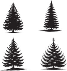 Fototapeta premium Four Set of High-Quality Monochrome Vector Silhouettes of the Blue Spruce Tree