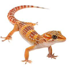 Naklejka premium Australian Gecko AI Generated Image