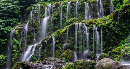 waterfall in the forest