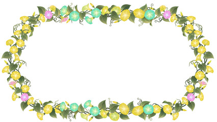 Morning glory, flower frame border illustration design, circle