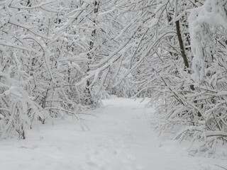 Winterlandschaft Schwanseepark Füssen