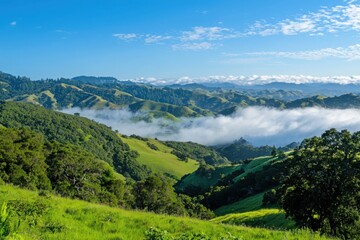 Ethereal fog rolling over lush green hills scenic landscape photography coastal region serene environment wide-angle viewpoint