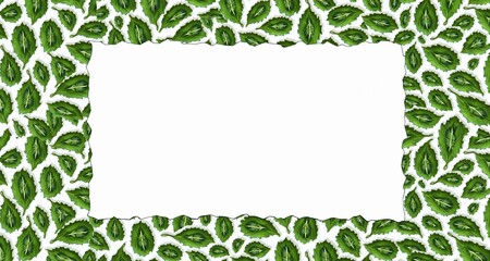 Białe tło z organicznym ornamentem dookoła. Do slajd&oacute;w i prezentacji. Podłoże z motywami graficznymi.