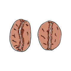 vector image of coffee beans.eps