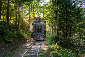 Carpathian tram. Steam locomotive on a narrow-gauge railway. Old transport in the forest nature