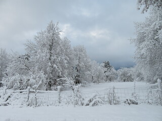 Trübe Winterlandschaft
