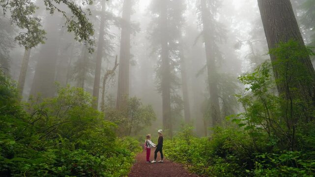 Mother and daughter spend a moment bonding together among magnificent redwood trees