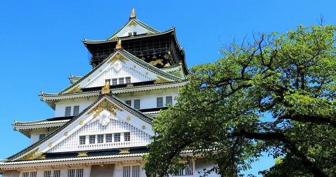 Tenshukaku in Osaka Castle Park.Osaka Castle Park is located in Chuo-ku, Osaka City, Japan. In the center of Osaka Castle Park stands the Tenshou Pavilion.