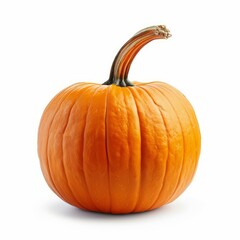 Freshly harvested orange pumpkin isolated on white, perfect for autumnal decorations and halloween festivities
