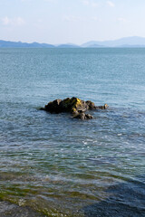 Fototapeta premium rock on the sea