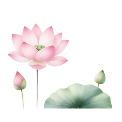 Beautiful Flower Clipart Vector Illustration - Floral Design for Graphics
