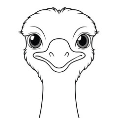 Obraz premium animal vector illustration of a ostrich 