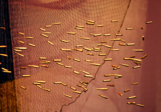 Venice Art Biennale. Pavilion of Brazil. Cardume - School of Fish by Ziel Karapotó, Karapotó Terra Nova Community. Installation of fishig nets, maracás, ammunition rounds