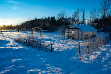 Gardening area with greenhouse a cold January day