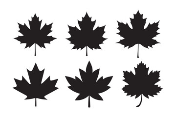 Maple leaf silhouette  Bundle , Maple leaf silhouette vector