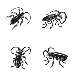 Monochrome Vector Silhouettes of the Plum Curculio Beetle