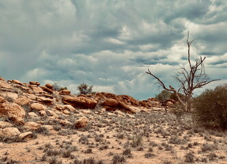 Outback landscape with rocky terrain and a solitary tree under a cloud-filled sky near Alice...