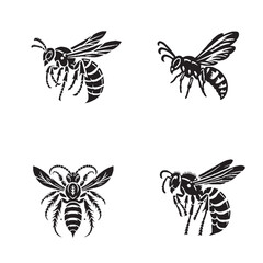 High-Quality Four Set of Monochrome Vector Silhouettes of the Polistes Wasp in Black and White