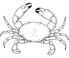 Crab png vintage black and white clipart
