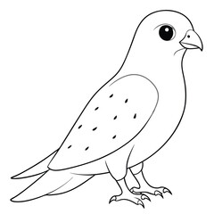 vector cute animal falcon for kids product 