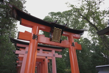 京都の伏見稲荷大社の風景