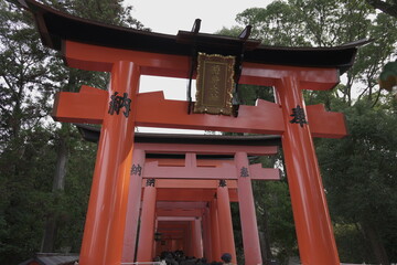 京都の伏見稲荷大社の風景