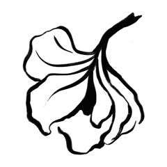 Abstract flower png sticker, ink brush design on transparent background