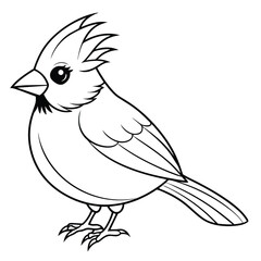Fototapeta premium cute cardinal 
