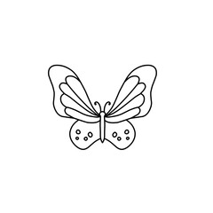 hand drawn butterfly line icon